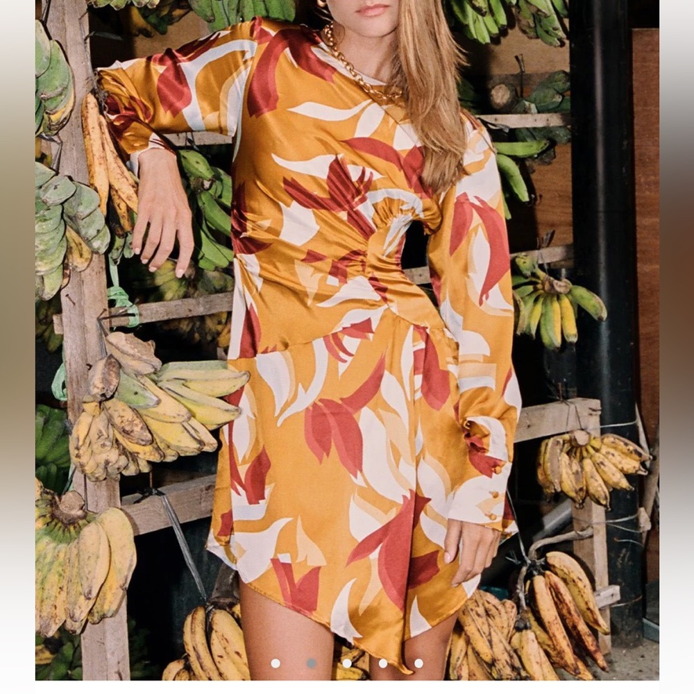 Nwt Steele printed dress